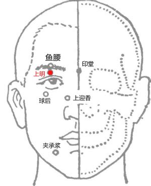 上明穴|上明穴